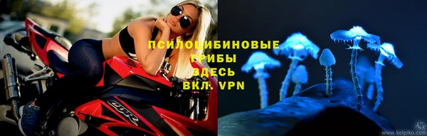 винт Алексин